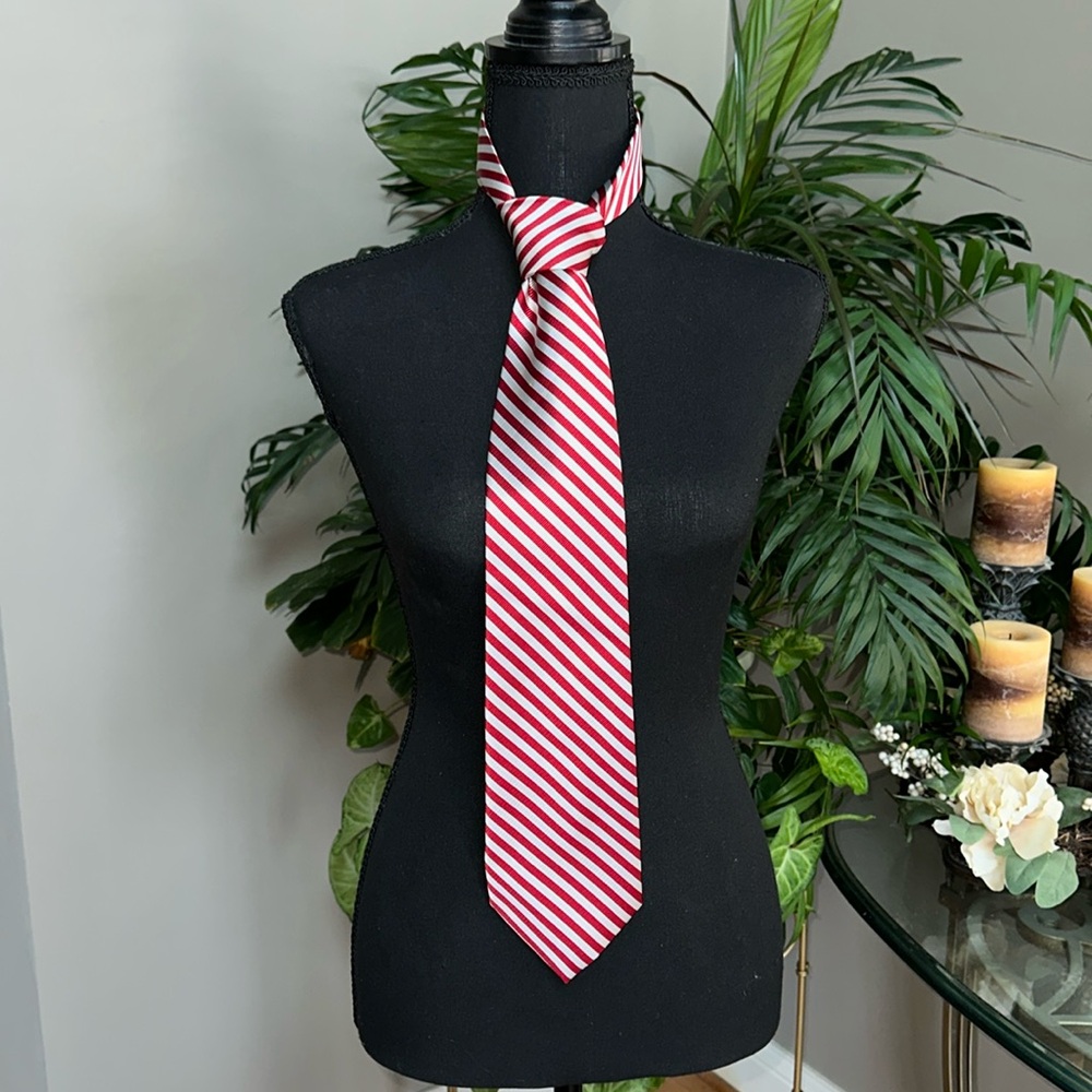 RBM COLLECTION Men's 100% Silk Tie EUC